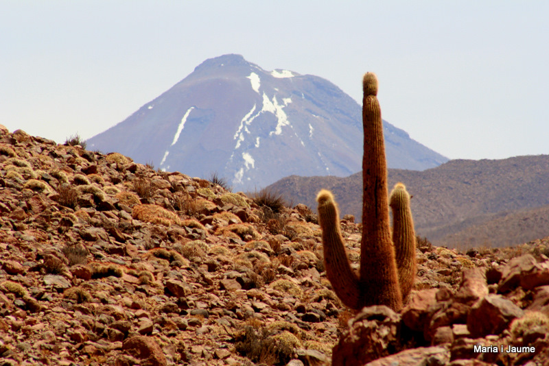 Paisatge andí a Atacama